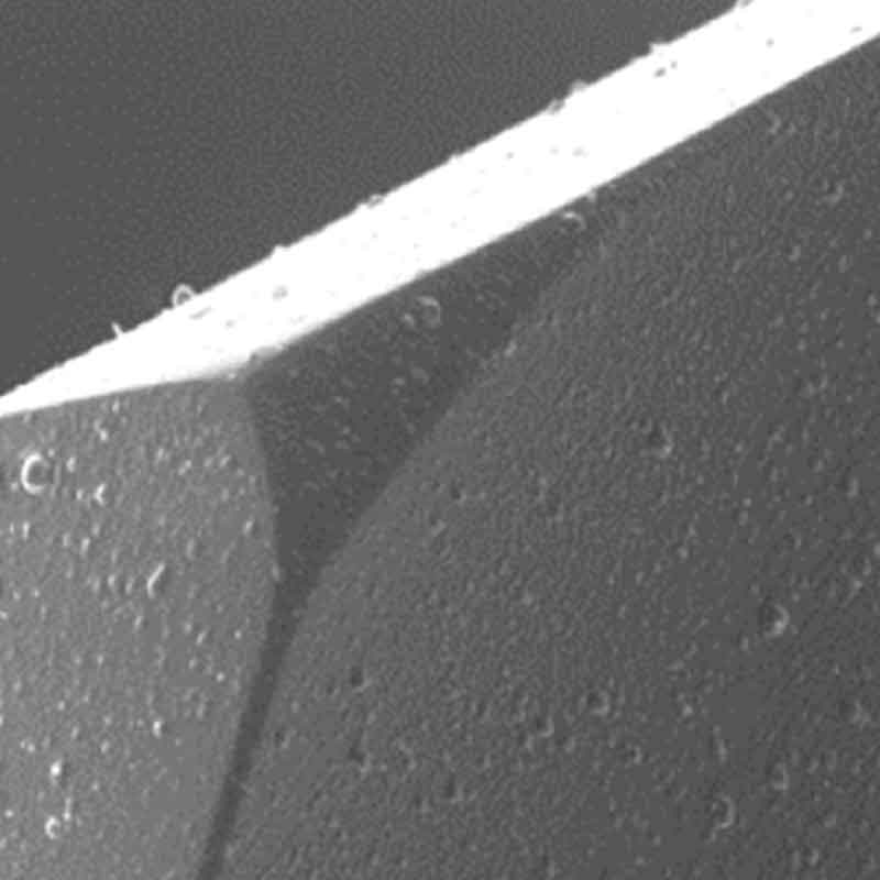 Standard PVD coating surface under electron microscope — droplet artifacts and rough texture